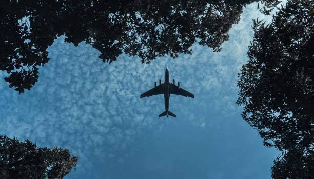 Affordable JFK to Bangalore Flight Tickets Smart Ways to Plan Your Journey